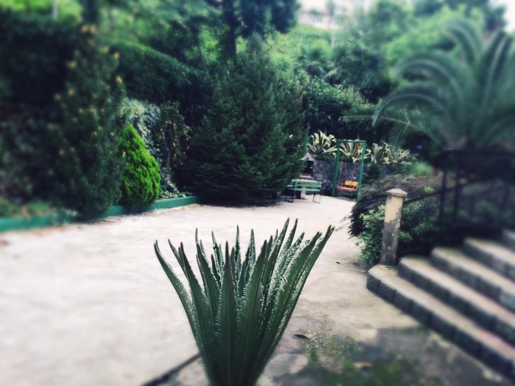 Holiday House Green Cape Batumi Mtsvane Konts'khi Exterior foto