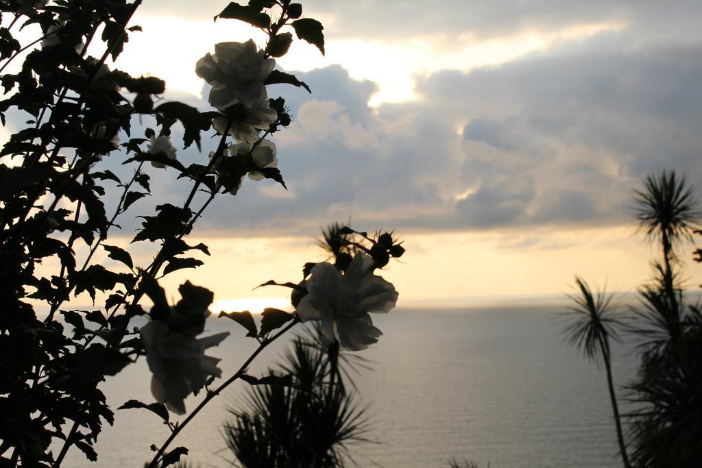 Holiday House Green Cape Batumi Mtsvane Konts'khi Exterior foto
