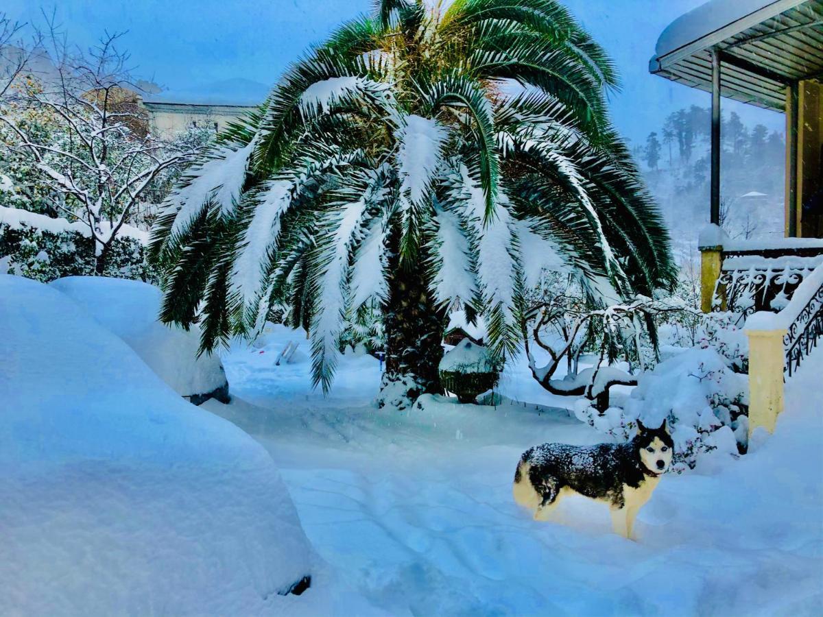 Holiday House Green Cape Batumi Mtsvane Konts'khi Exterior foto